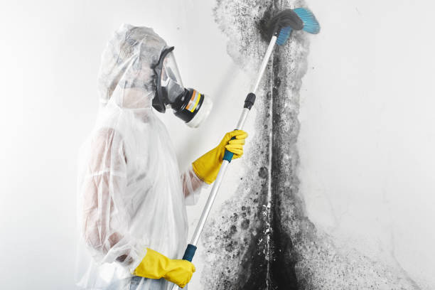 Best Mold Remediation for Healthcare Facilities  in Biscayne Park, FL